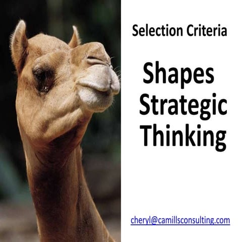 Shapes Strategic Thinking - Selection Criteria