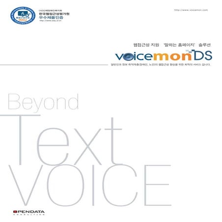 보이스몬DS Brochure