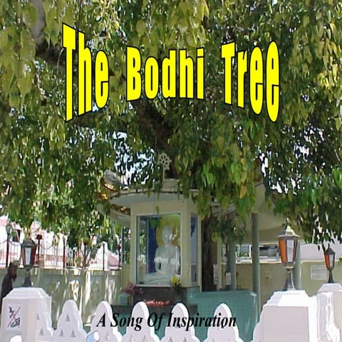 The Bodhi Tree...A Song of Inspiration | PPT