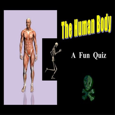 The Human Body...A Fun Quiz