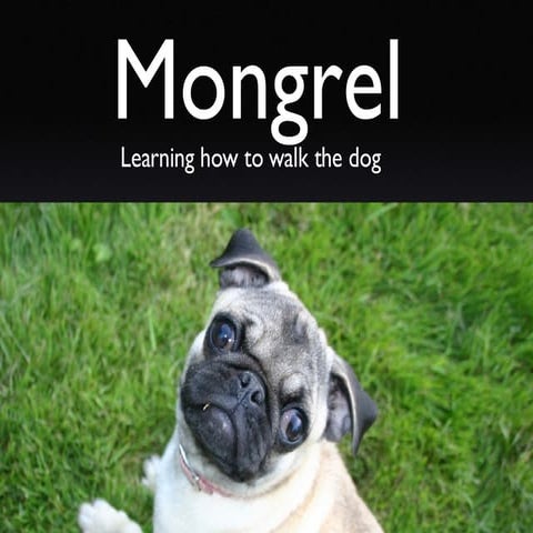 Custom Mongrel Handlers: Learning how to walk the dog
