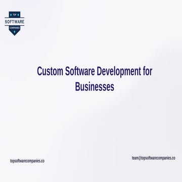 Custom Software Development Company in Gurugram -Thunder Brains.pptx