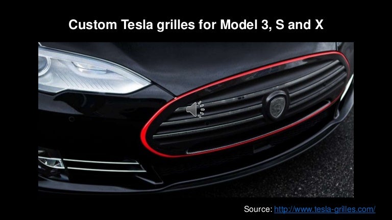 Tesla grill net
