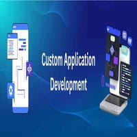 Custom Application Development and IT Solutions.pdf