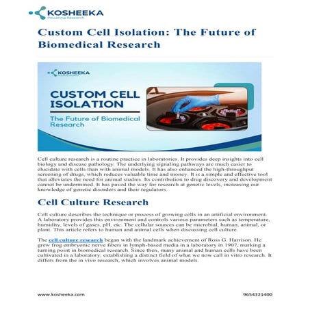 Custom Cell Isolation: The Future of Biomedical Research