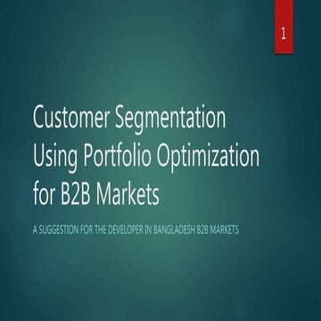 Customer Segmentation Using Portfolio Optimization for B2B Markets