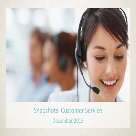 Customer Service Snapshots Report 2015