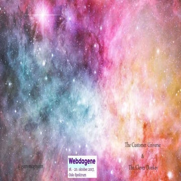 The customer universe – med Gerry McGovern