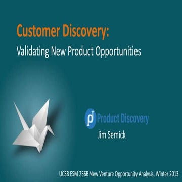Customer Discovery: Validating New Product Opportunities
