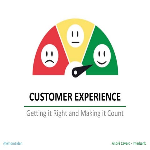What is Customer Experience? | PDF