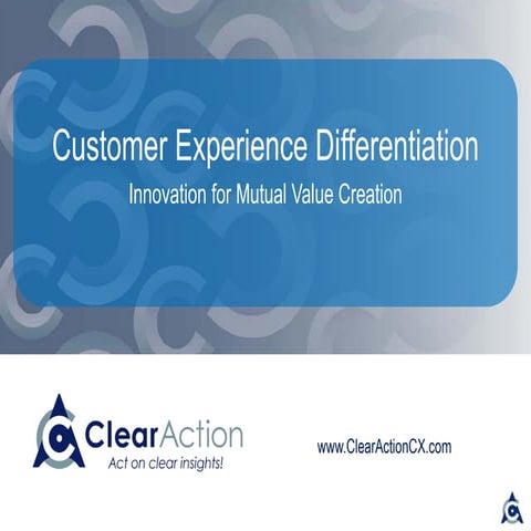 Customer Experience Differentiation: Innovation for Mutual Value Creation