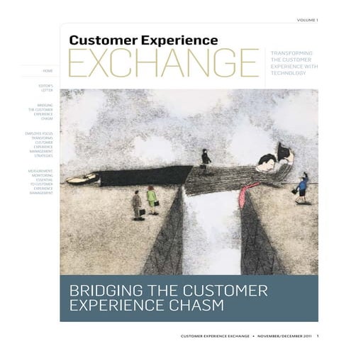 Bridging the Customer Experience Chasm