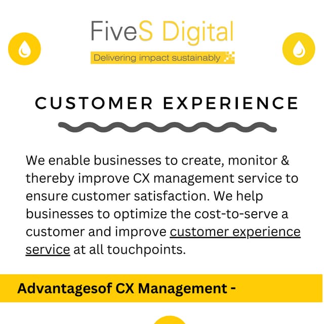 Customer Experience Services FiveS Digital .pdf