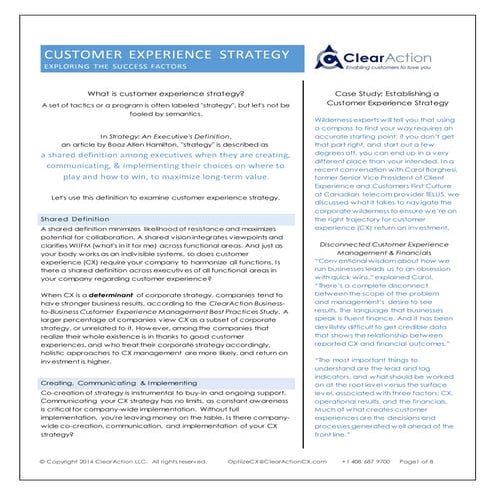 Customer Experience Strategy: Exploring Success Factors