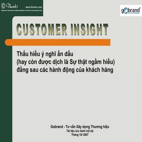 Customer insight | PDF