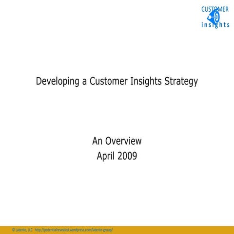Developing a Customer Insights Strategy