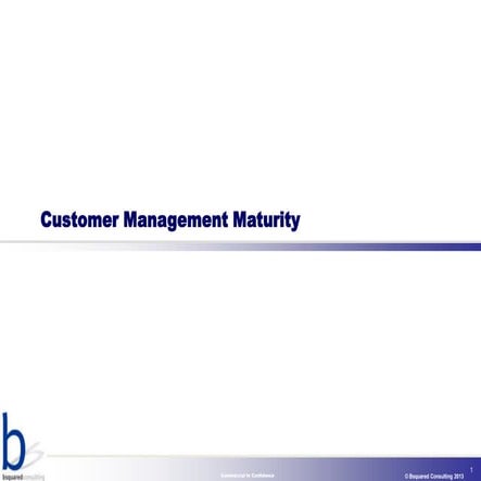Customer management maturity