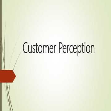 Customer Perception and What are the Factors Influencing Customer Perception?