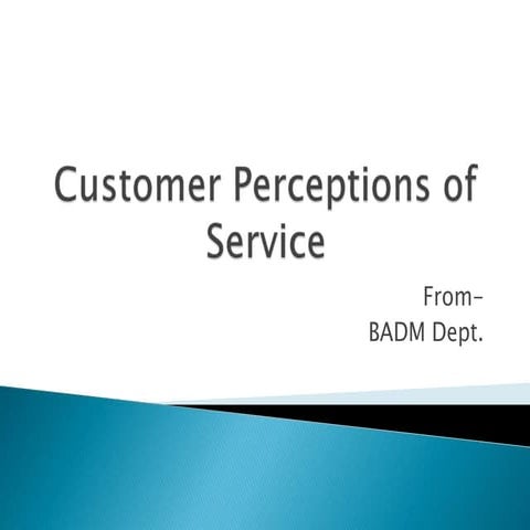 Customer perceptions of service
