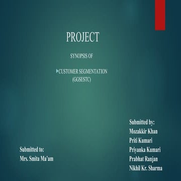 customer segmentation  hhhjj sjsjsj shsjshsb jajajahahhaa.ppt