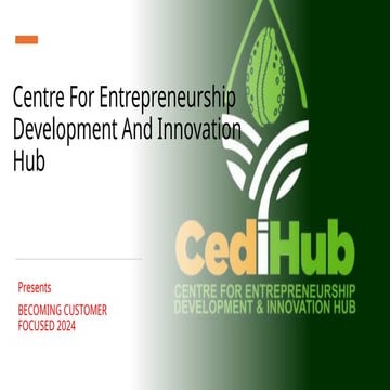 CUSTOMER SERVICE SLIDES. for customer service trianing for business owners