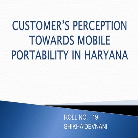 Customer’s perception towards mobile portability in haryana