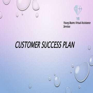 Customer success