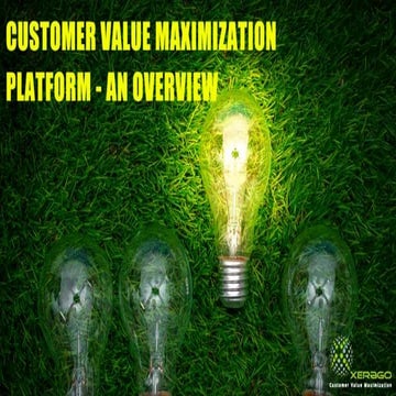 Customer Value Maximization Platform - An Overview