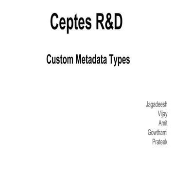 Custom Metadata Types