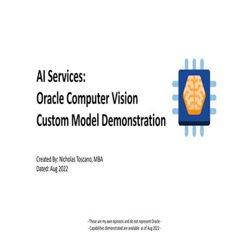 Building a Custom Vision Model | PDF