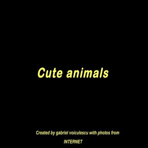 Cute animals