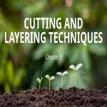 Layering principles and methods | PPTX