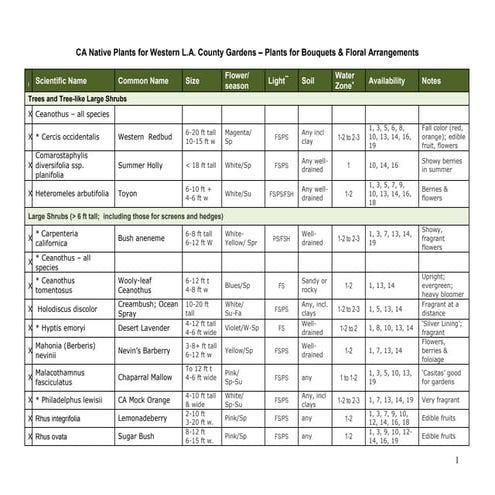 Cuttings garden 3-11