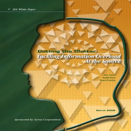 Cutting the Clutter - Tackling Information Overload