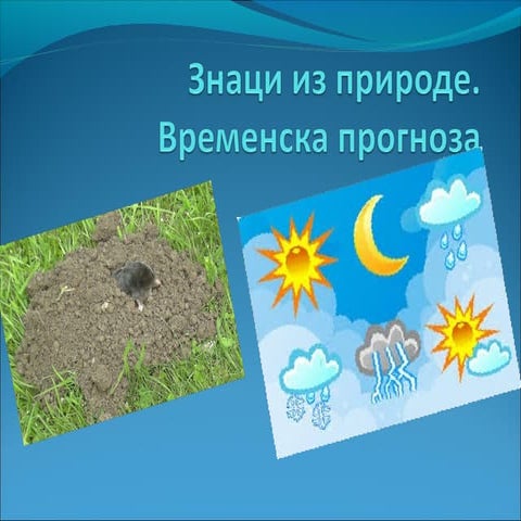 Cuvari prirode znaci u prirodi | PPT | Free Download