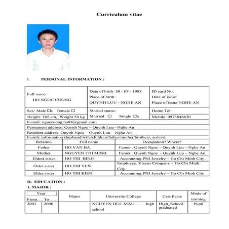 Demo CV | PDF