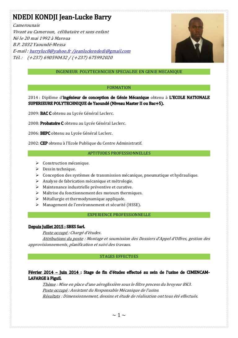 cv en francais cv en francais
