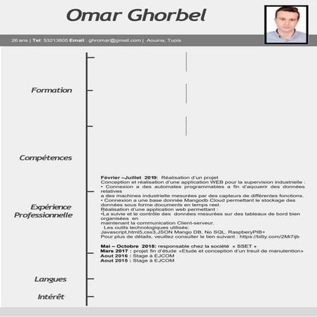 Cv | PDF