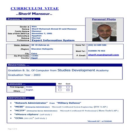 Amr Salem CV | PDF