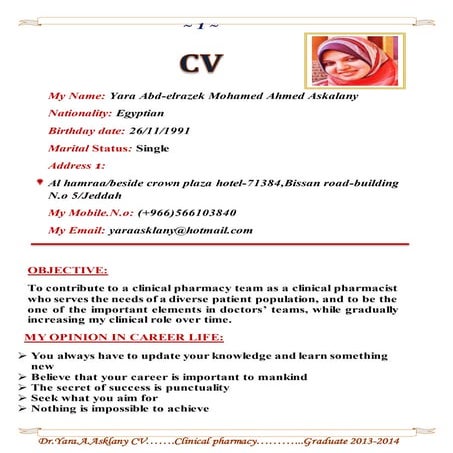 my updated CV | DOC