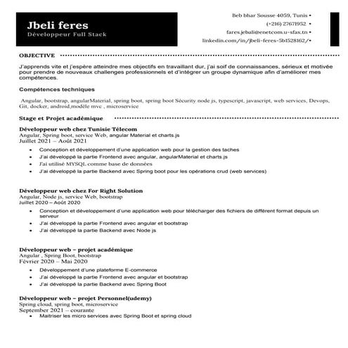 Cv-feres-fullstackweb (1).pdf