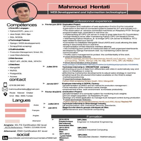 Cv mahmoud1993-english | PDF