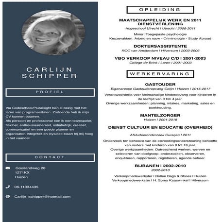 Cv1 | PDF