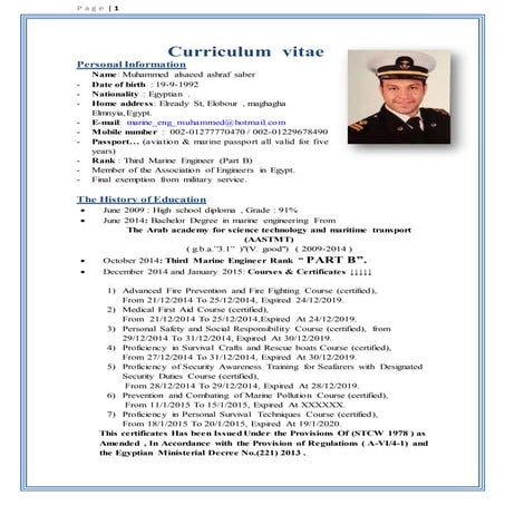 Curriculum  vitae (cv)