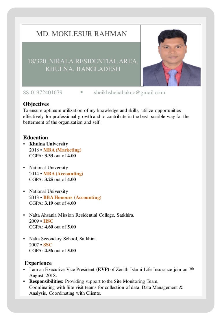 Standard curriculum vitae format pdf picture