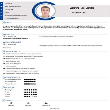 cv (7).pdf