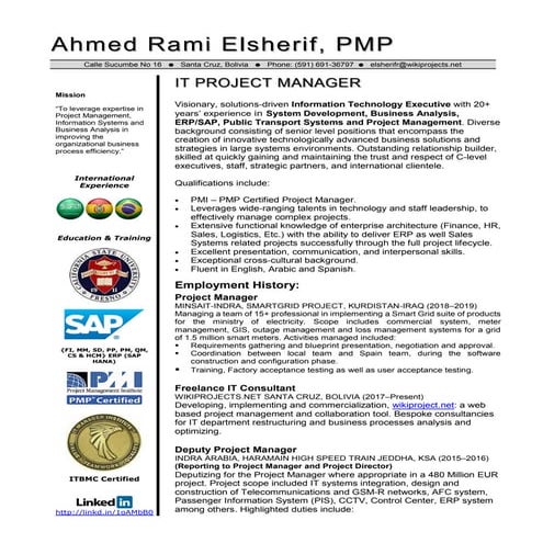 Ahmed Rami Elsherif, CV