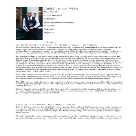 Cv robin rijnders (robin rijnders) | PDF