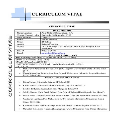 Cv anju nofarof hasudungan