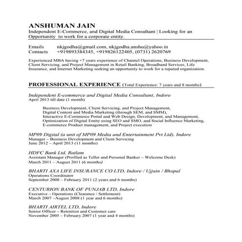 Career Profile - Anshuman Jain